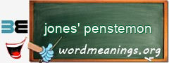 WordMeaning blackboard for jones' penstemon